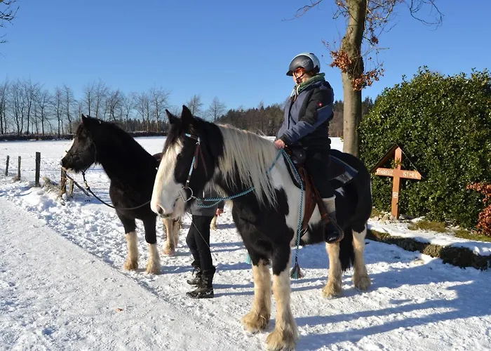 Ferien bei Freunden im Holzhaus