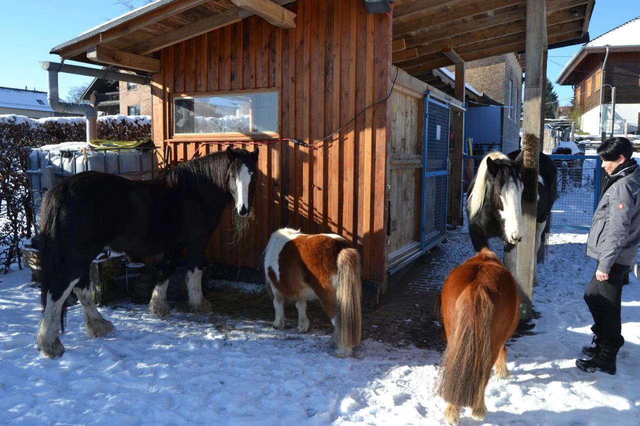 Ferien Bei Freunden Im Holzhaus Apartment *