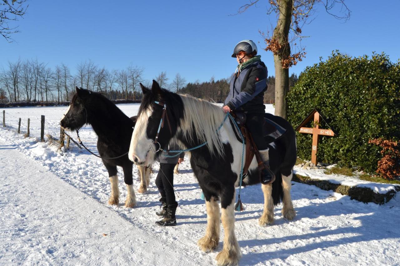 Ferien Bei Freunden Im Holzhaus *